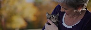 Paws4Ever - Woman Cuddling a Kitten