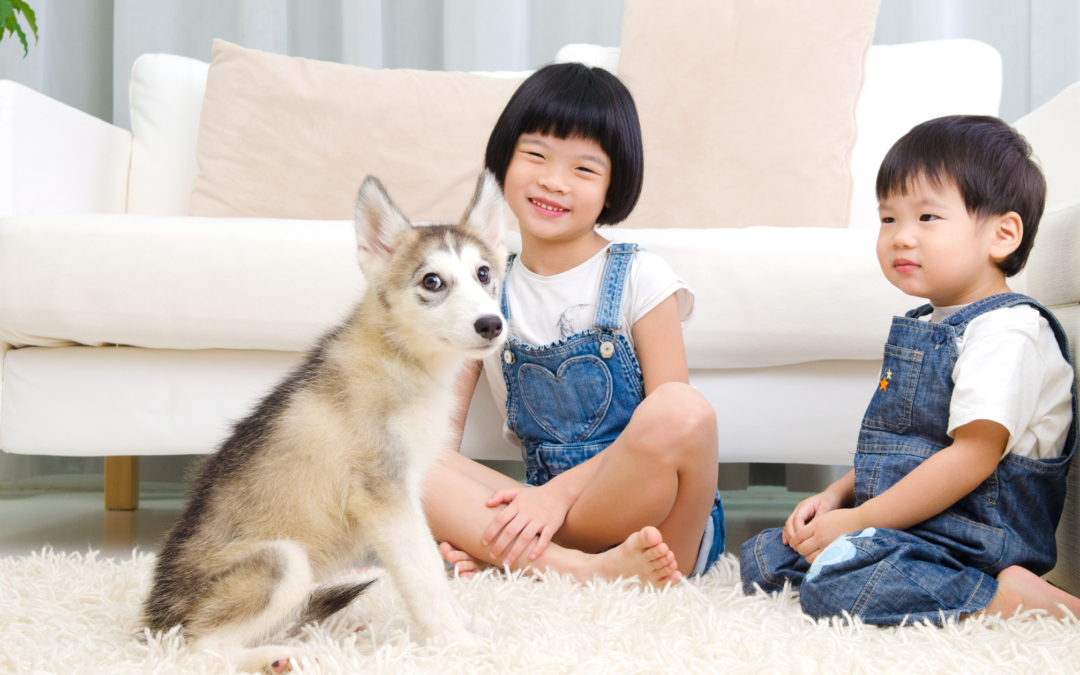 Kids and Pets: Staying Safe