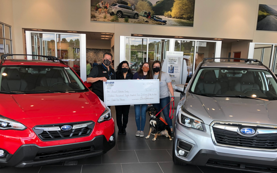 subaru blog post heading