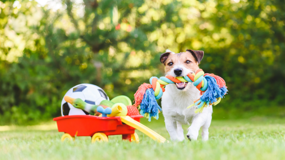 Paws4Ever - Dog carrying rope toy