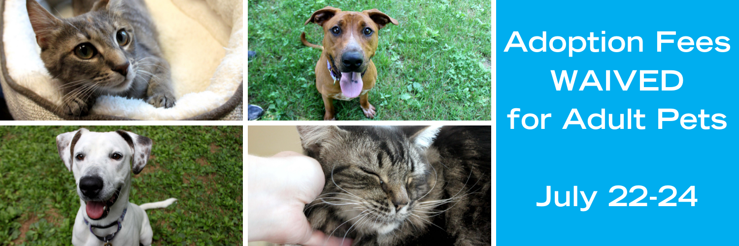 Adoption Fees WAIVED for Adult Pets July 2224 Paws4ever