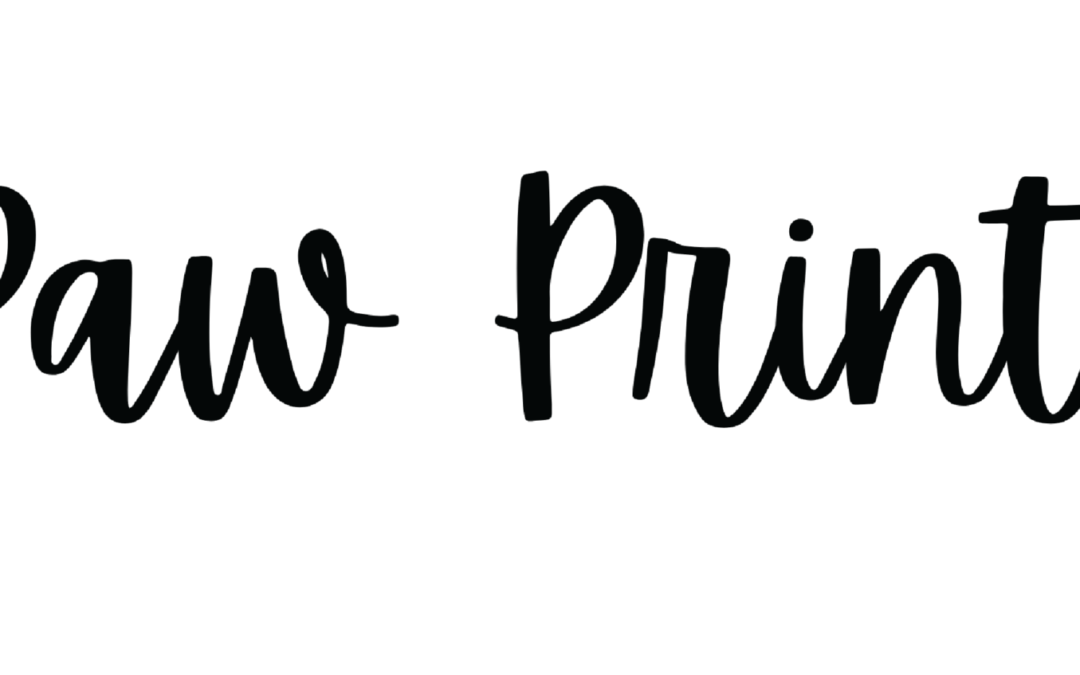 paw prints name