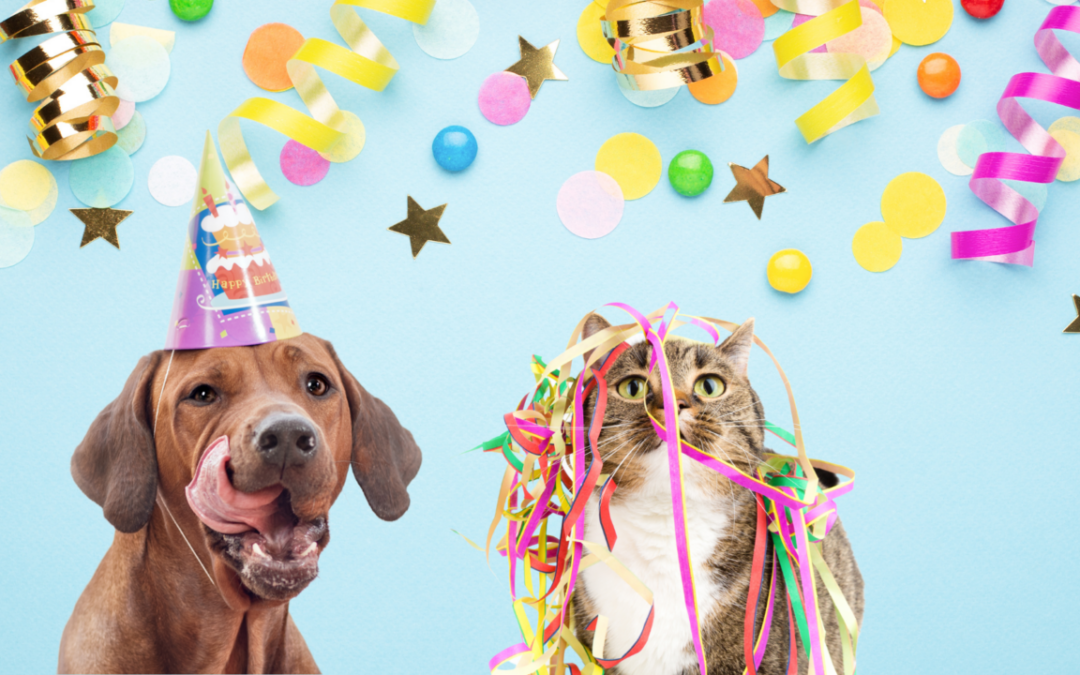 Open house web header