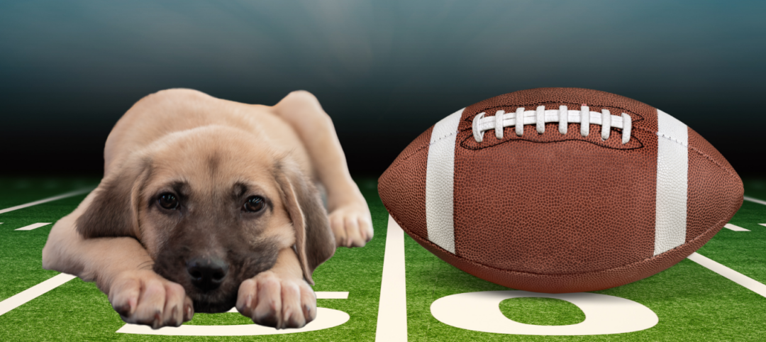 Buzz Puppy Bowl Banner (2240 × 600 px)