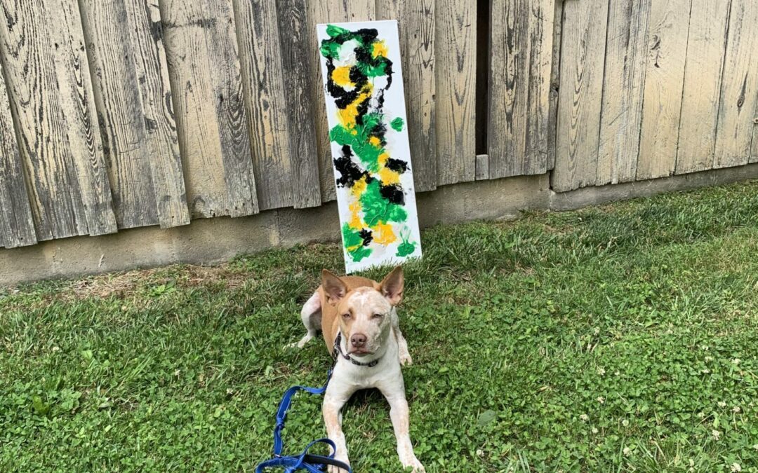 a dog’s canvas