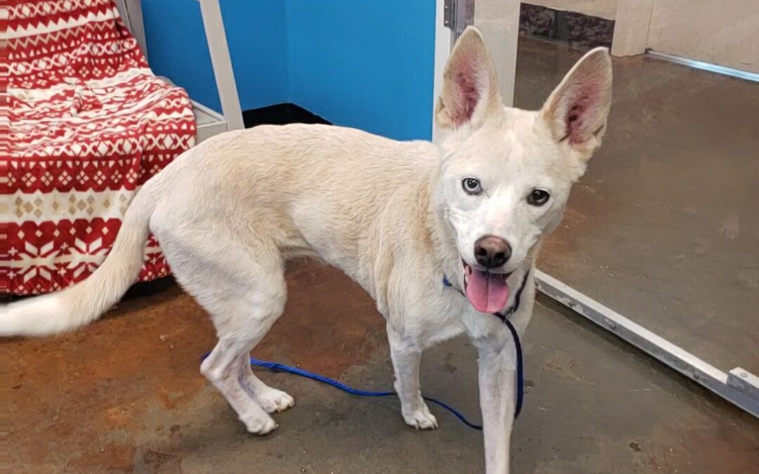 20231213_115636_capture