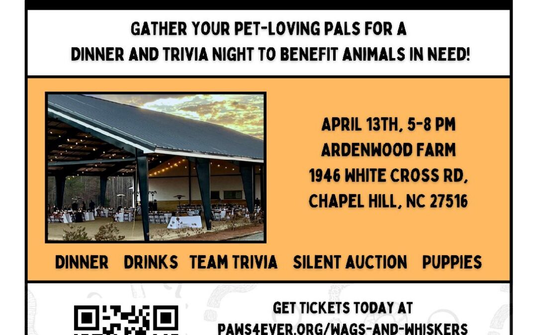 Wags & Whiskers Flyer