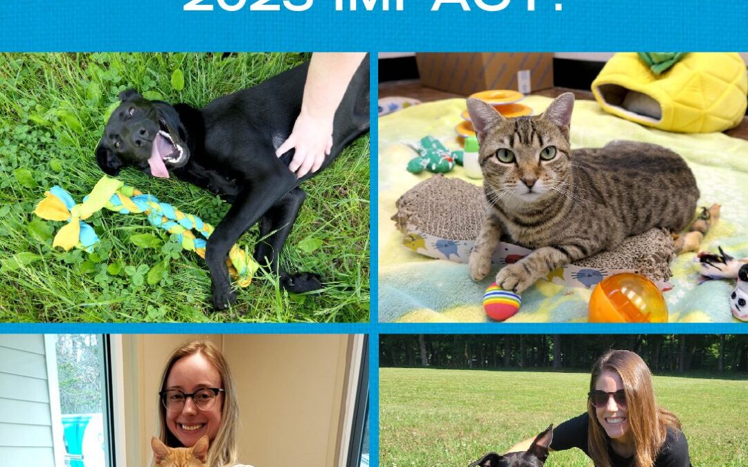 Impact Report 2023