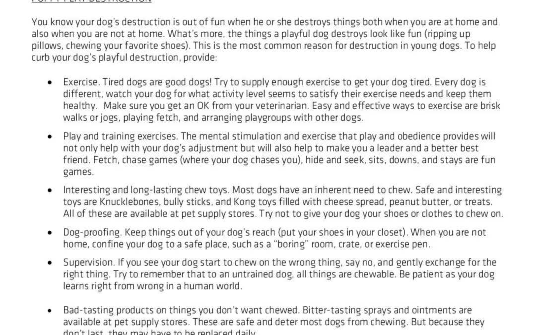 CSD-SA-Handout-DESTRUCTIVE-BEHAVIOR