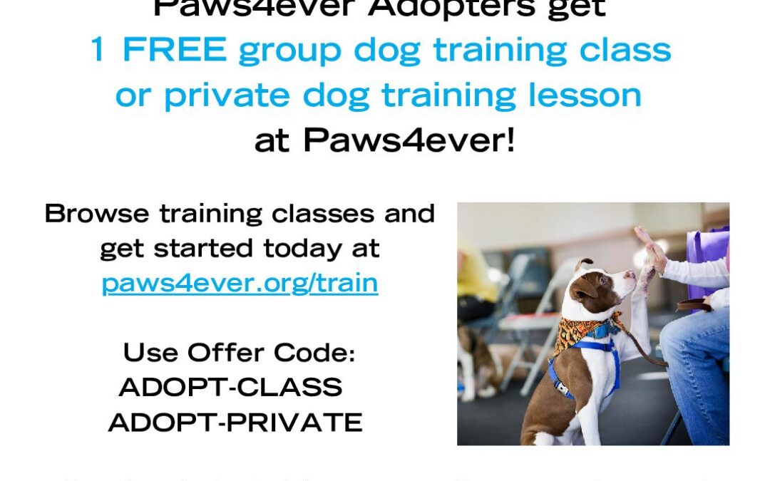 Dog Training Coupon for Adopters