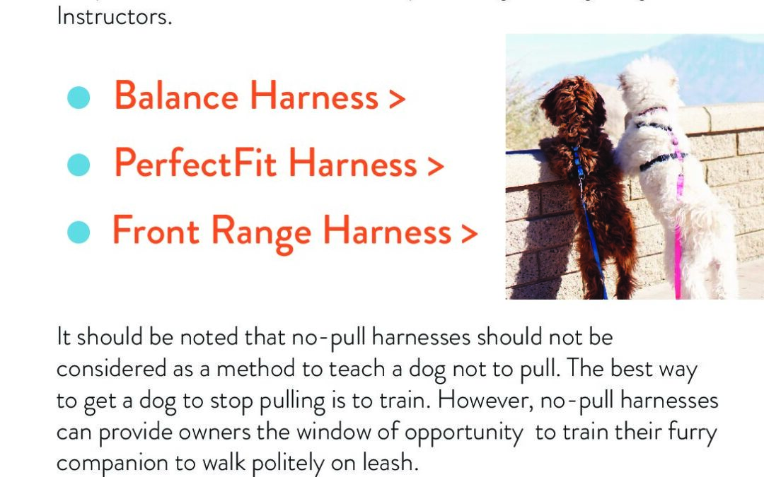 Harness Recommendations
