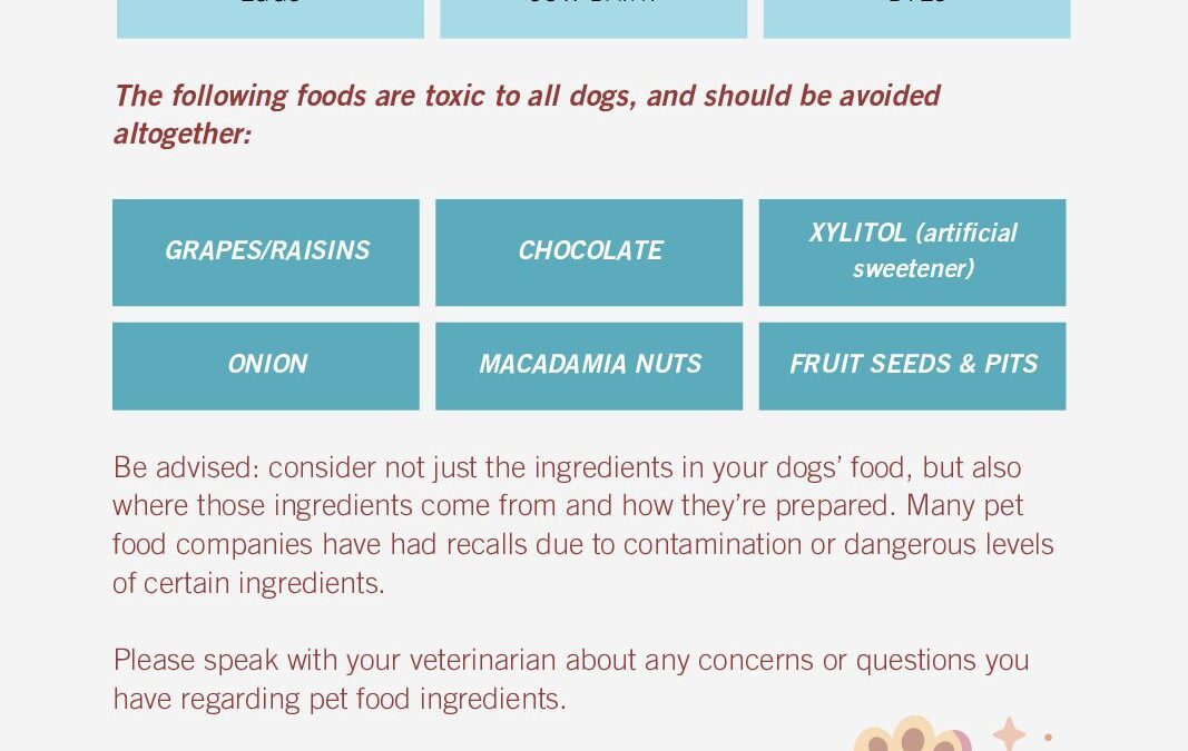 Dog Nutrition Infographic Paws4ever