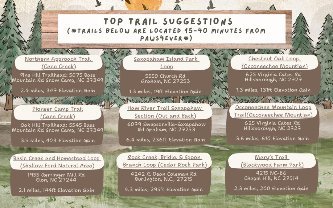 Doggie Day Out Trail Suggestions