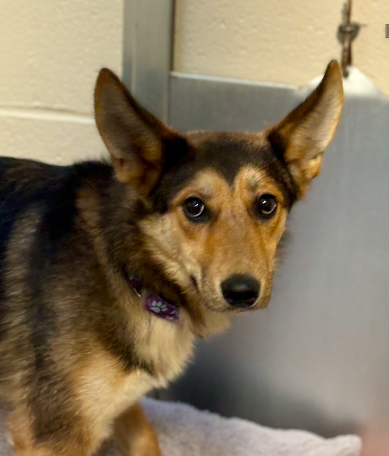 Screen Shot 2024-12-05 at 5.54.44 PM