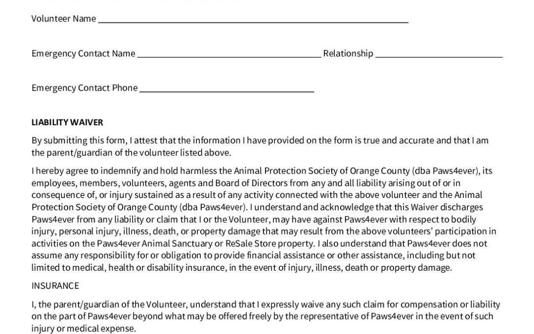 Youth Volunteer Liability Form P4E