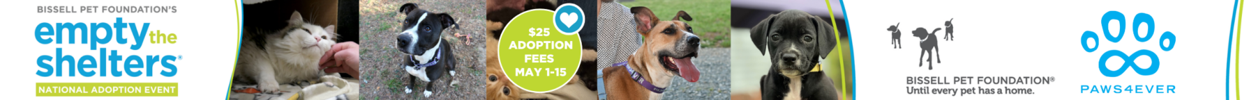 Bissell Reduced Adoptions