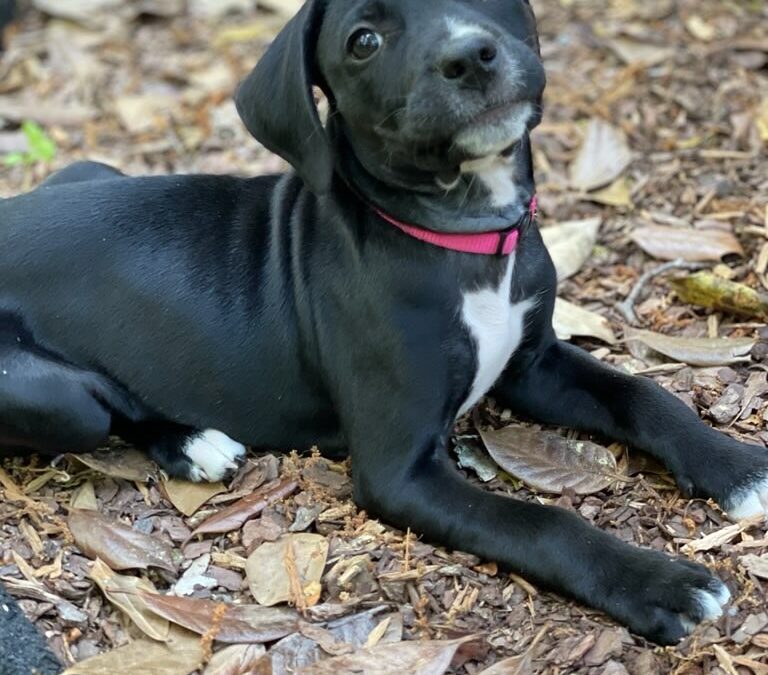 Winnie