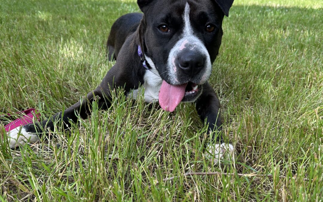 Mia