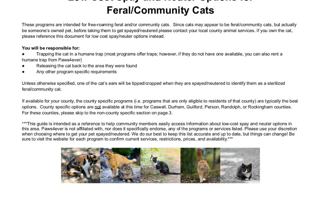 Backup Feral S/N