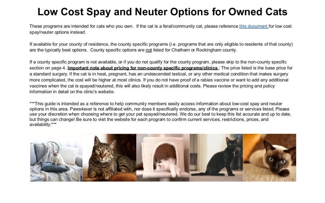 Low Cost Spay and Neuter Options for Owned Cats