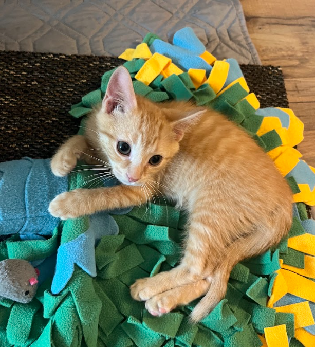 Tiki