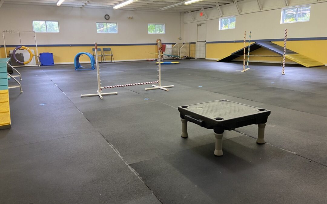 Agility Room