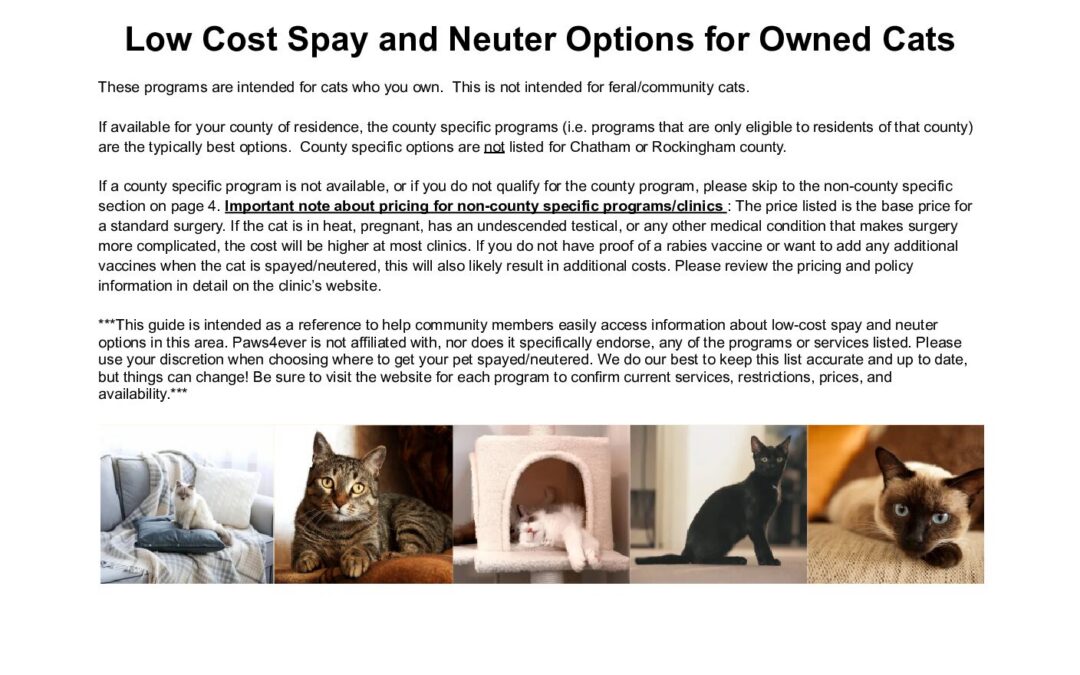 Low Cost Spay and Neuter Options for Owned Cats
