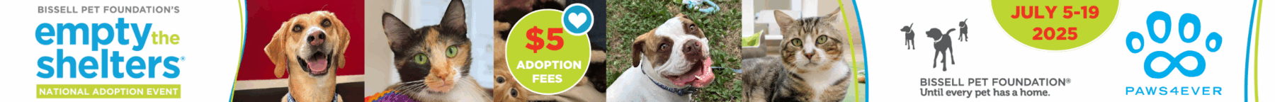 Bissell Reduced Adoptions