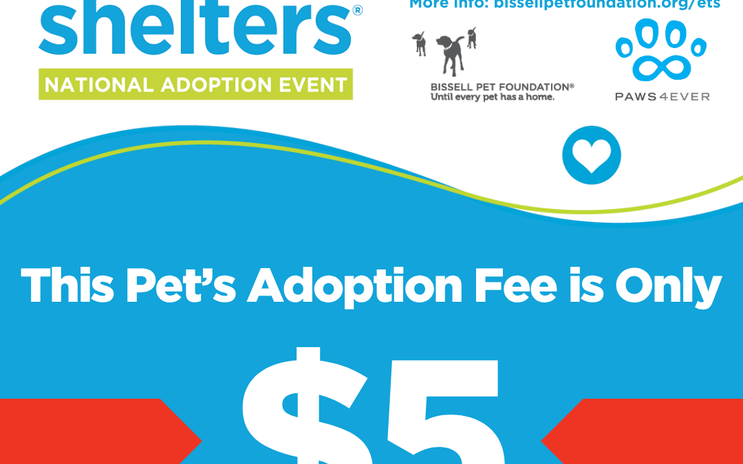 Bissell May Social Media (3)