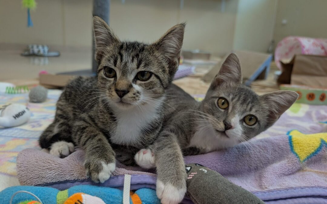 PXL_20250816_165010455