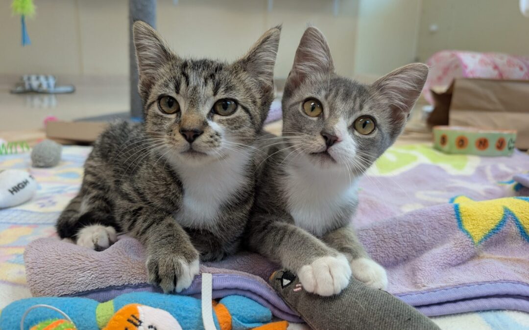 PXL_20250816_165012946