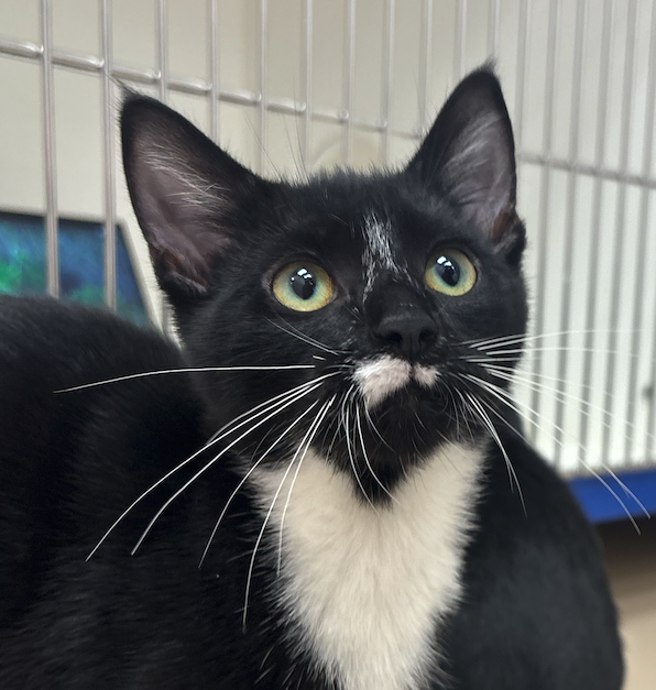 Screen Shot 2025-10-01 at 12.58.33 PM