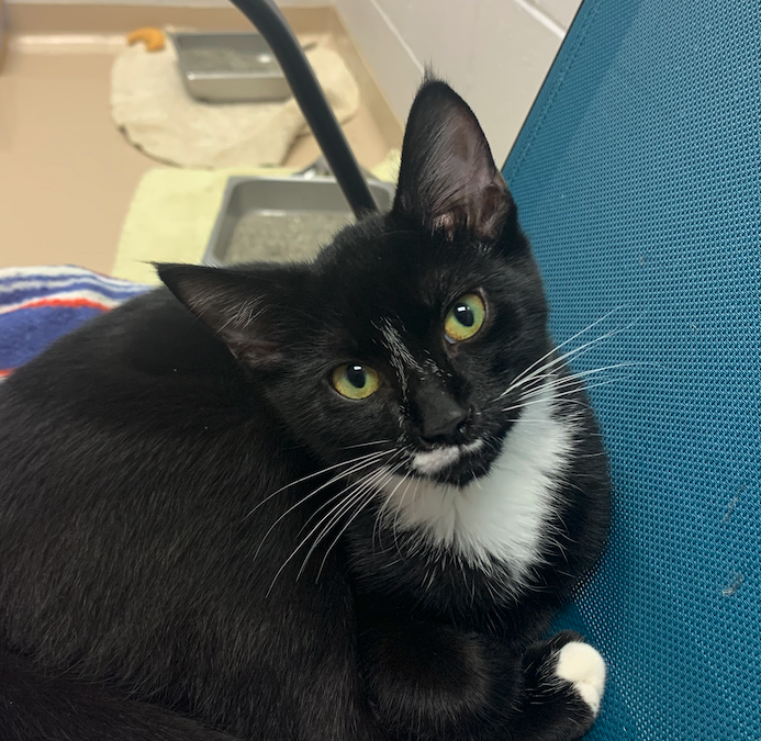 Screen Shot 2025-10-09 at 5.00.47 PM