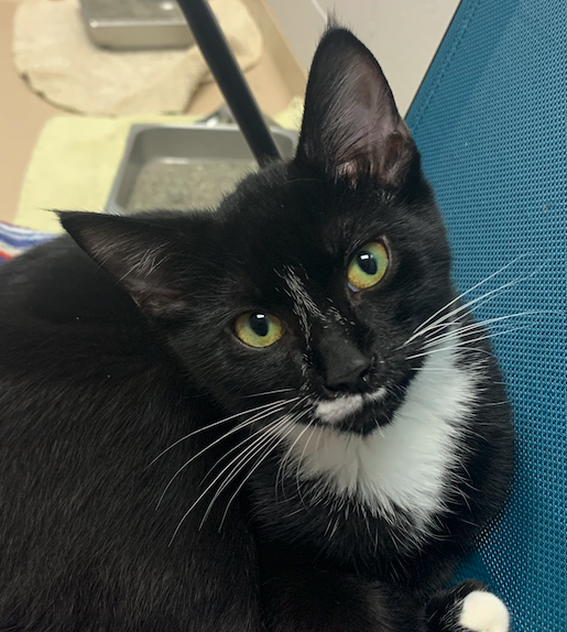 Screen Shot 2025-10-09 at 5.01.33 PM