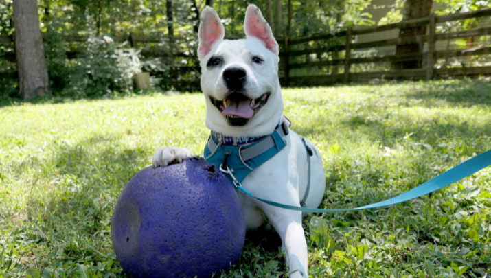 Untitled design (41)