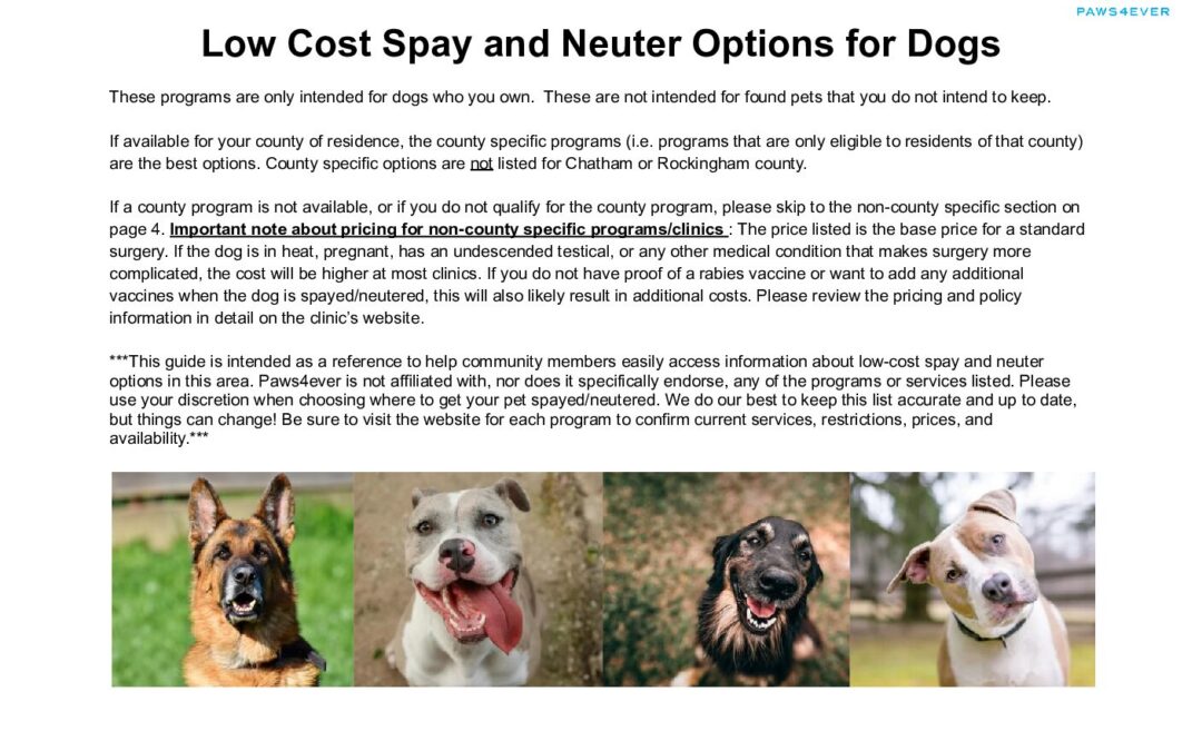 Low Cost Spay and Neuter Options for Dogs (3)