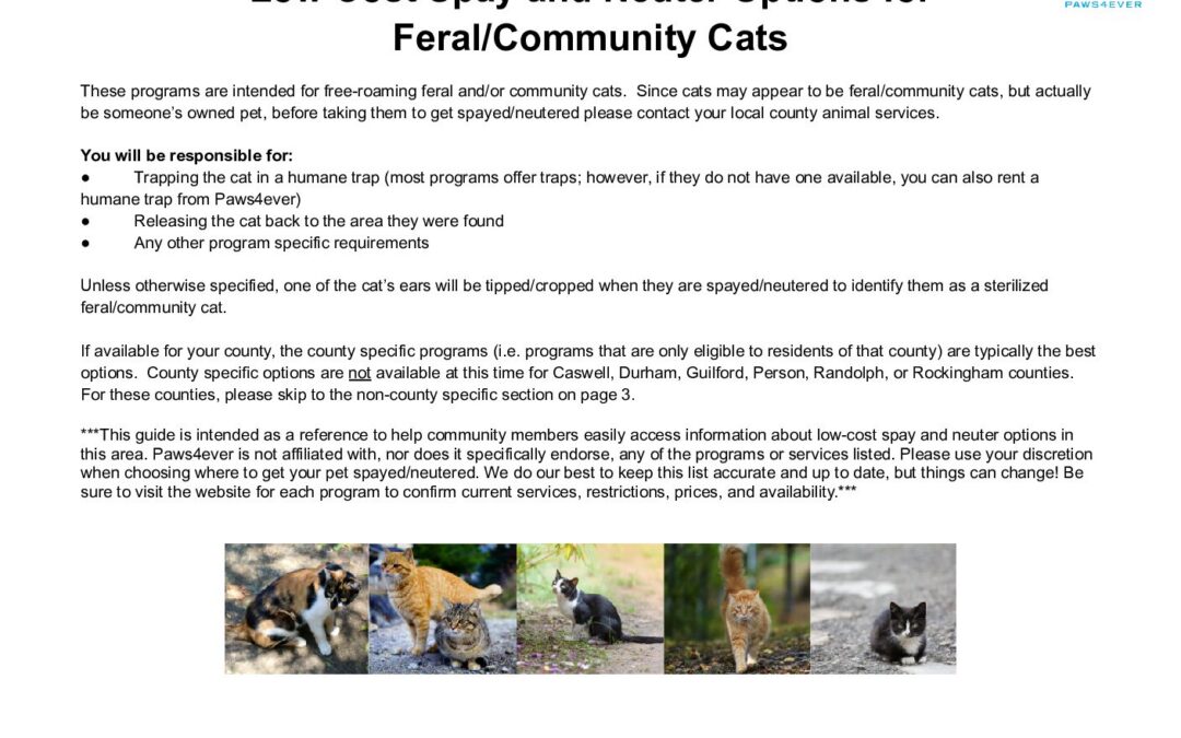 Low Cost Spay and Neuter Options for Feral_Community Cats 25 (2)