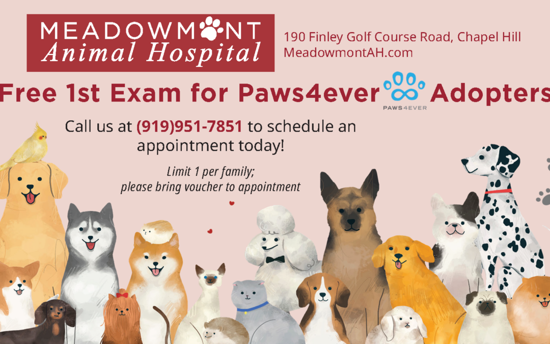 148298- Online Voucher Paws4ever