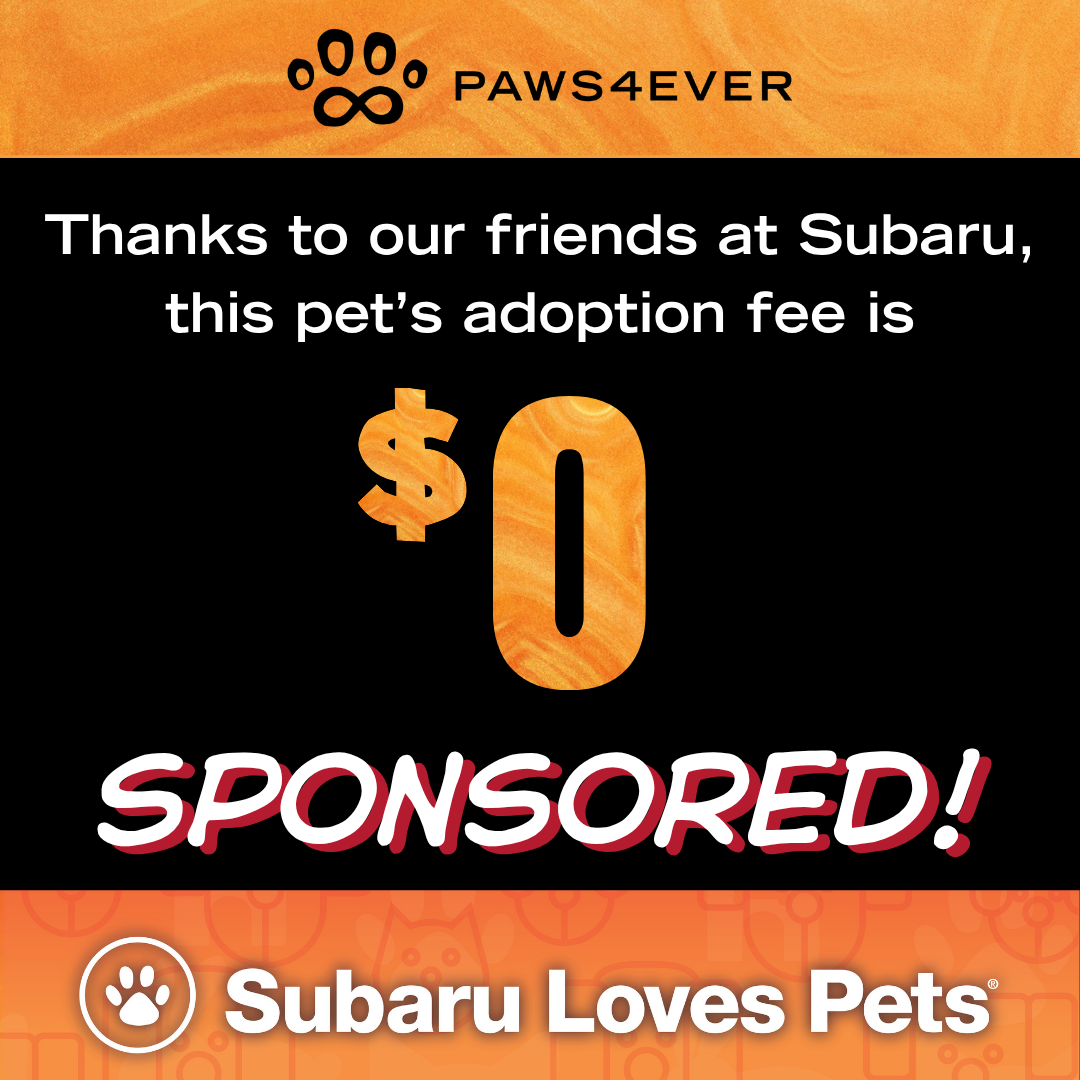 Sponsored Fees
