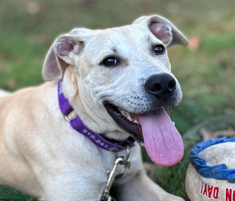 Screen Shot 2025-10-23 at 2.04.55 PM