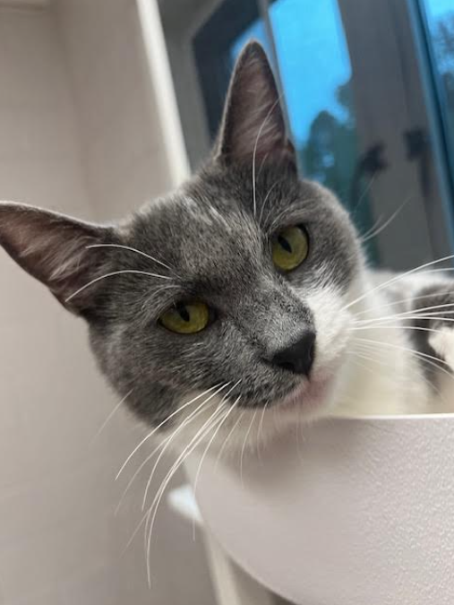 Screenshot 2025-11-03 113502