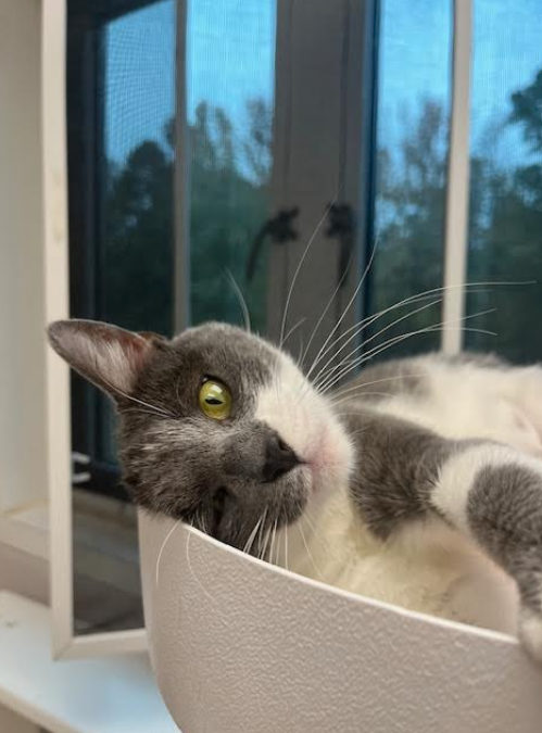 Screenshot 2025-11-03 113542