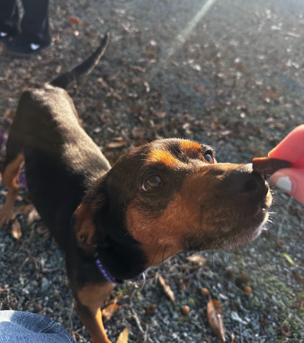 Screen Shot 2025-11-12 at 7.30.36 PM