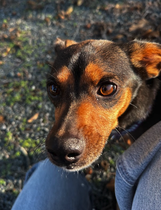 Screen Shot 2025-11-12 at 7.30.47 PM