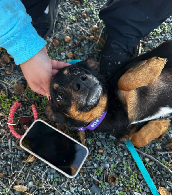 Screen Shot 2025-11-12 at 7.31.15 PM