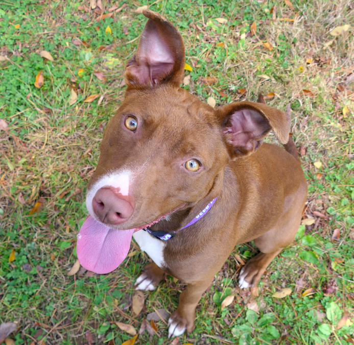 Screen Shot 2025-12-01 at 3.53.48 PM