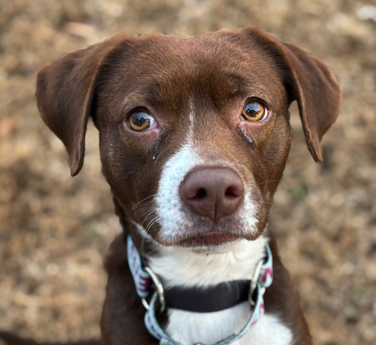 Screen Shot 2025-12-09 at 4.57.19 PM