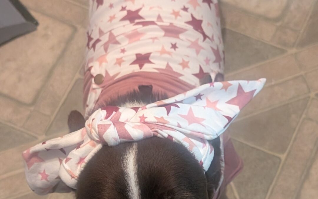 PXL_20251201_234003379.MP