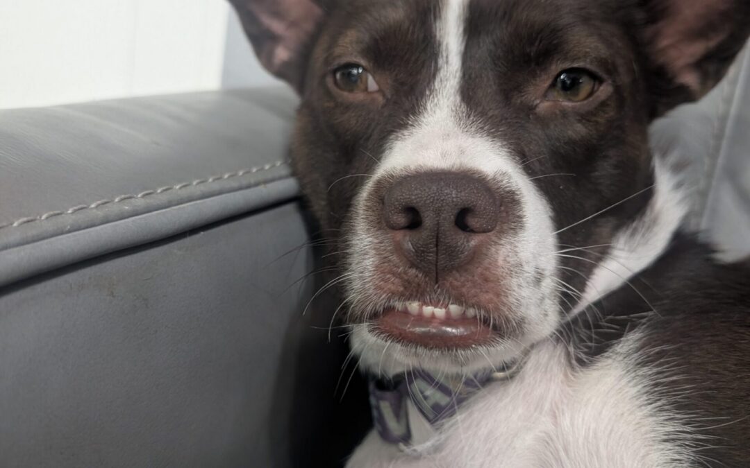 PXL_20260116_022235577