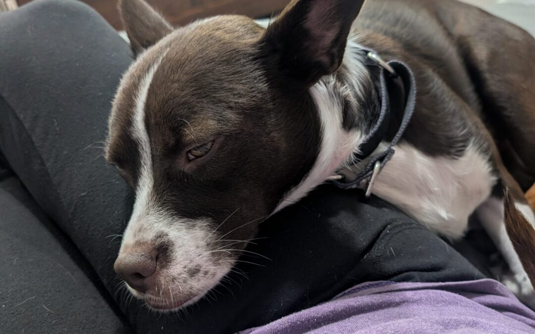 PXL_20260119_233301916